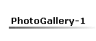 PhotoGallery-1